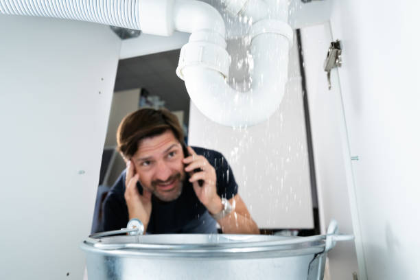 Best Plumbing Inspection Services  in Elizabethville, PA