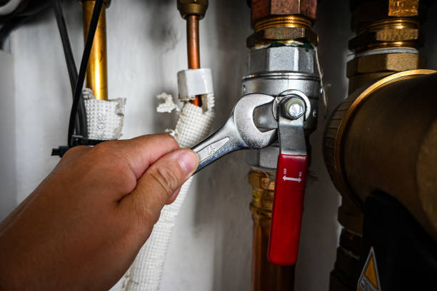 Best Local Plumber Services  in Elizabethville, PA